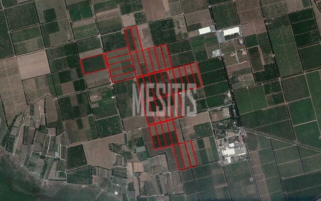 land-87ad83f3-fb25-4a9f-abed-c01c81efa620_Wtr.jpeg