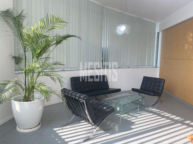 Penthouse Modern Office 320 Sq.m. Furnished For Rent in Nicosia – photo 4