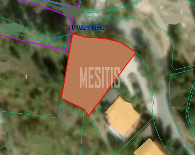 plot-18387f26-a651-4f53-91c1-6c04d0e9e4f5_Wtr.jpg