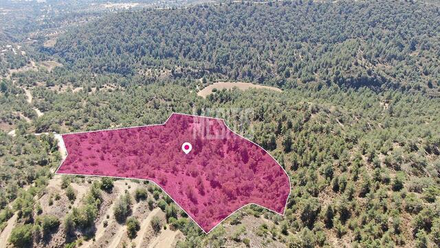 land-55e487fb-cceb-4fe3-8c22-261064595159_Wtr.jpeg