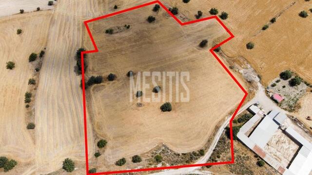 plot-2909aa4a-2e10-484b-9375-eaa8f6b39447_Wtr.jpeg