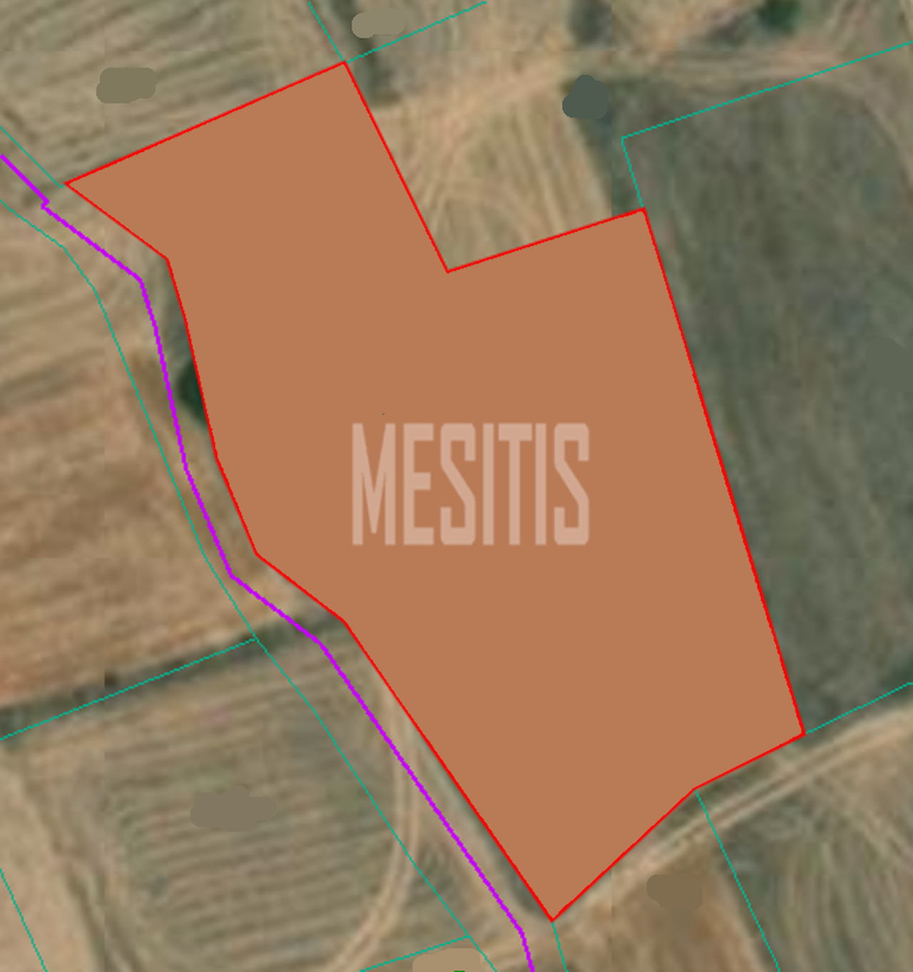land-37fcd13b-2445-4254-8ae6-860ecd2608a8_Wtr.png