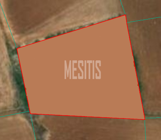 land-66871a23-8c73-43a8-9588-101d0fc0f52c_Wtr.png