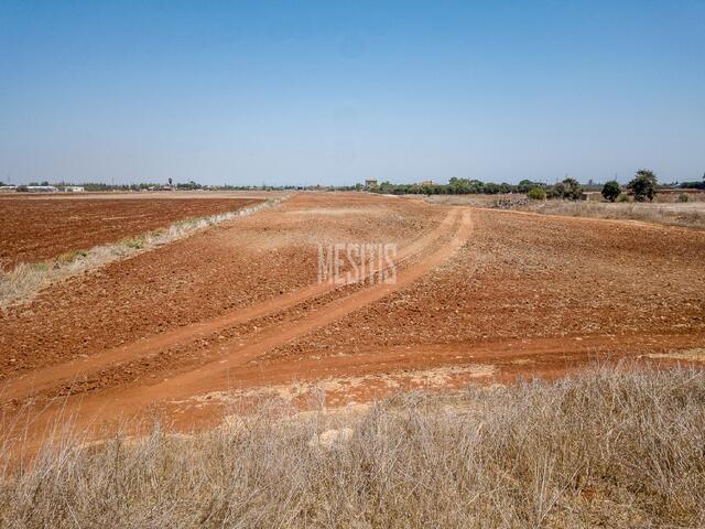 land-70a476d9-acf7-49d8-bc7c-704349fd19d6_Wtr.jpg