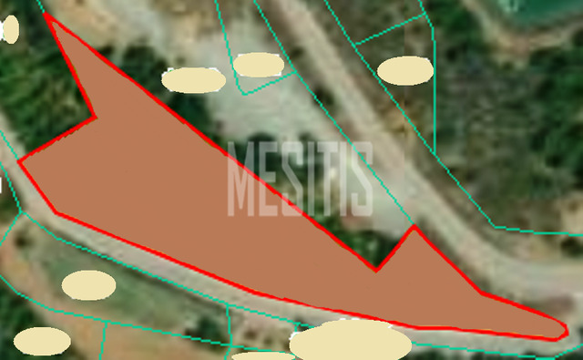 land-38e7293b-8ff4-4598-a77e-35fedba19280_Wtr.png