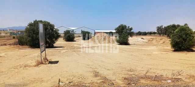 warehouse-4ea9f7e9-4498-40be-8331-39d8bb67b560_Wtr.jpeg