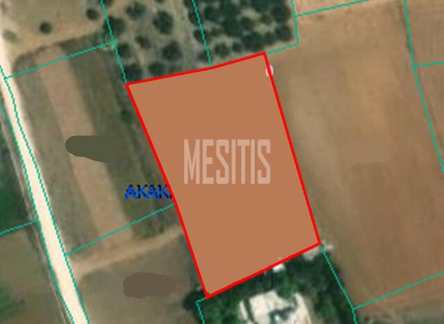 plot-9e258440-b0e5-4ae7-b86b-439dc91c71cf_Wtr.jpg