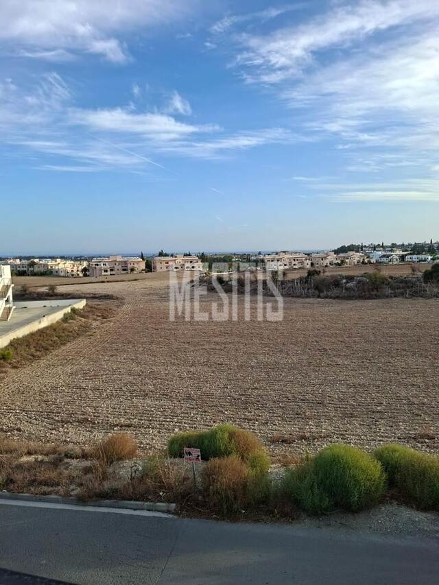 apartment-1773c6b2-8b4f-4d85-b609-24c1a4a7e416_Wtr.jpg