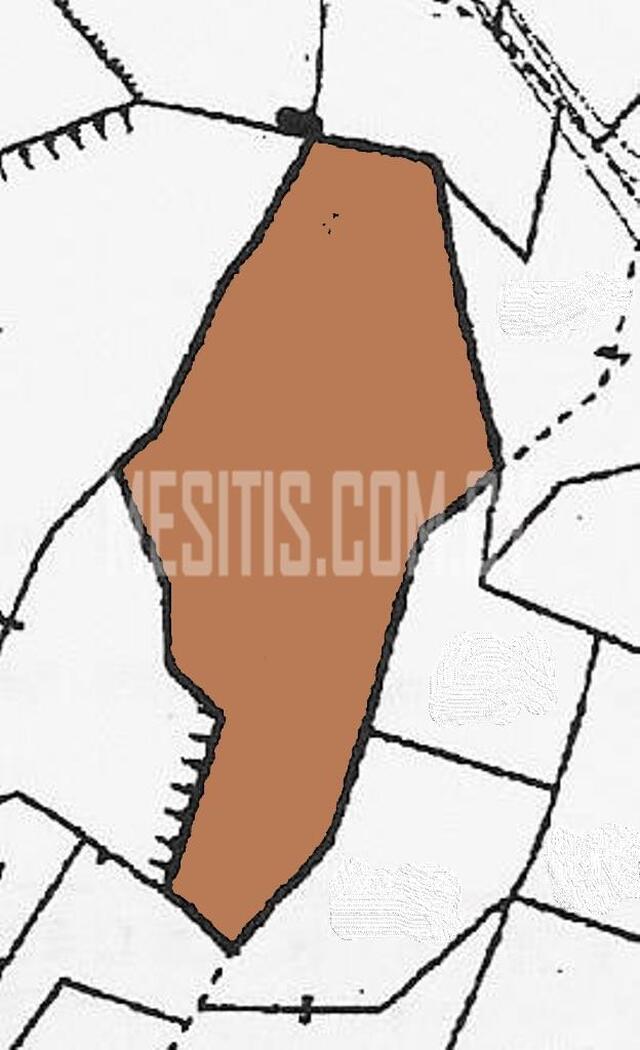 land-c25945b8-e035-4ee8-827b-4e6c36f36bf4_Wtr.jpeg