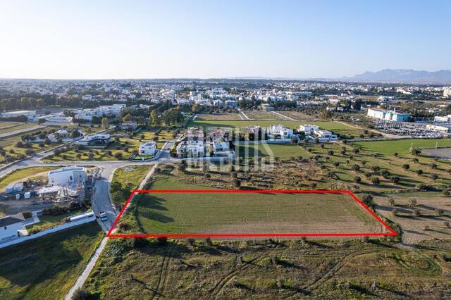 Shared field in Chryseleousa, Strovolos – photo 5