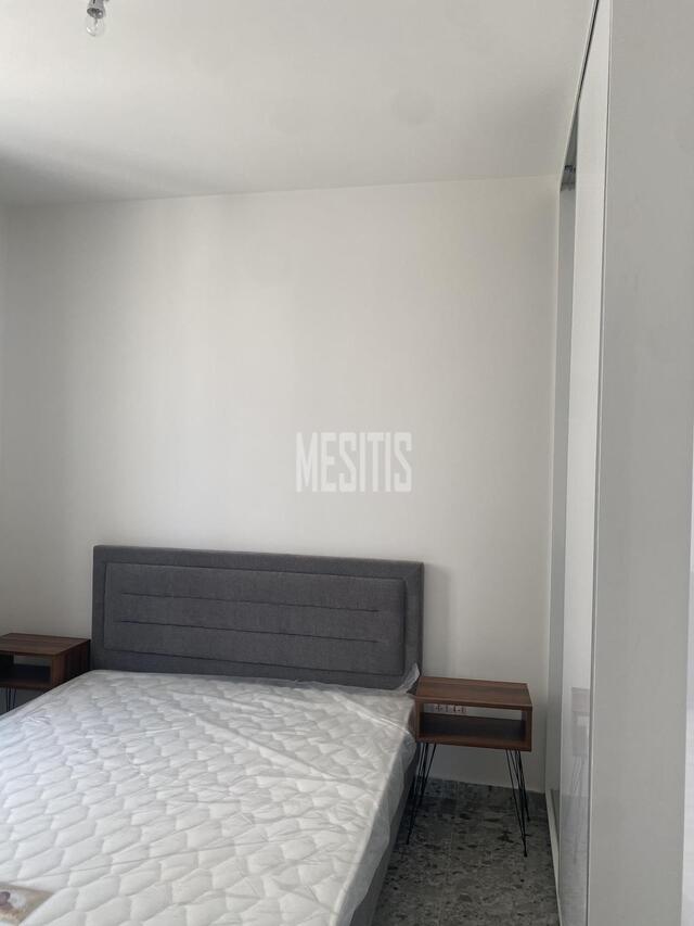 apartment-dc8a1c22-319d-4533-a0fc-bdff606504b5_Wtr.jpg