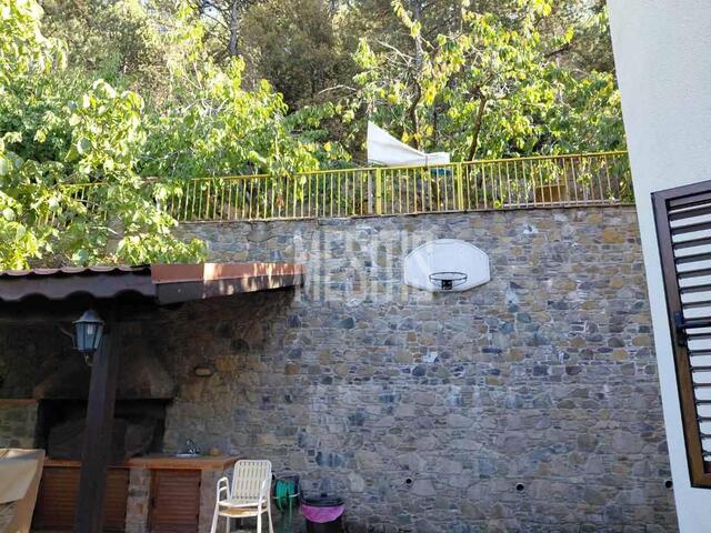 detachedHouse-98d5432a-a7bf-43a3-83b5-7e0ff09a96b2_Wtr.jpeg