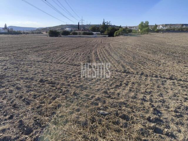 plot-3289a8fc-ae5f-4d5e-9d76-c7ce207a4406_Wtr.jpg