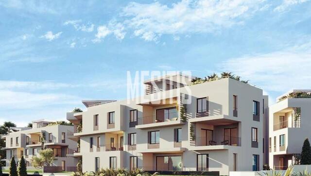 apartment-305bdd76-b5ce-4ede-b478-10ffa7df920a_Wtr.jpeg