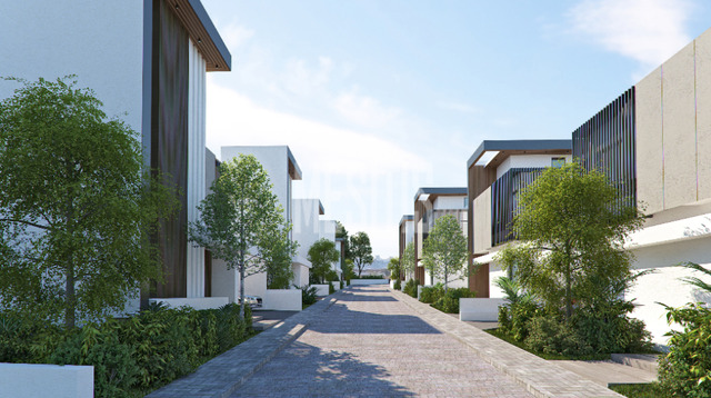 detachedHouse-6599c89a-faf9-4141-b3de-84bcc1f44e63_Wtr.png