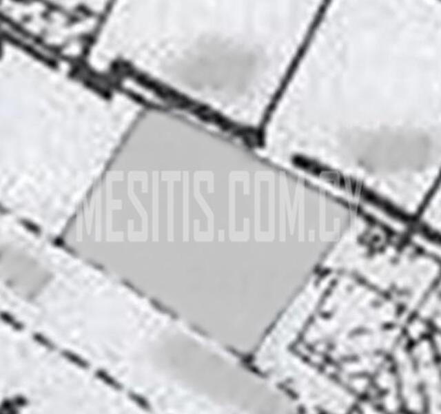 plot-2372484a-ef46-4902-bd55-4d38aa96efb8_Wtr.jpeg