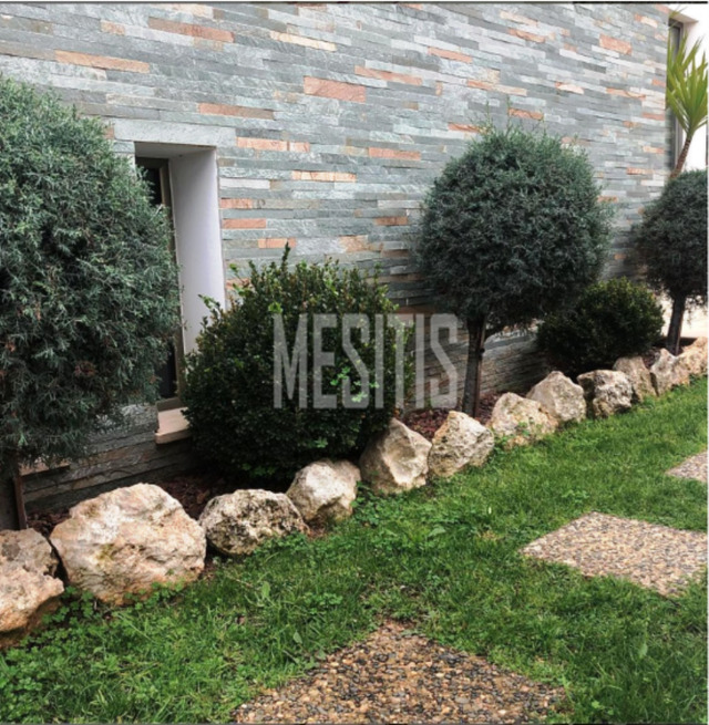 detachedHouse-a4ac8cf9-9088-43a2-81f5-d07f3ba68a72_Wtr.png