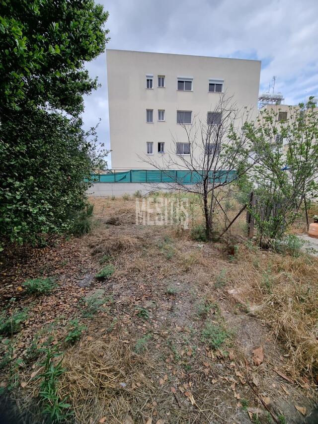 detachedHouse-e1762a27-4220-41f0-b7f1-891008d9fb8a_Wtr.jpeg