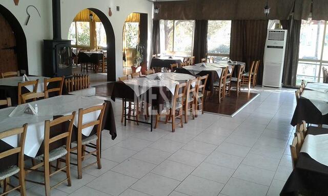 realEstateForBusiness-93581743-3511-4d22-9e1c-200871bd058b_Wtr.jpg