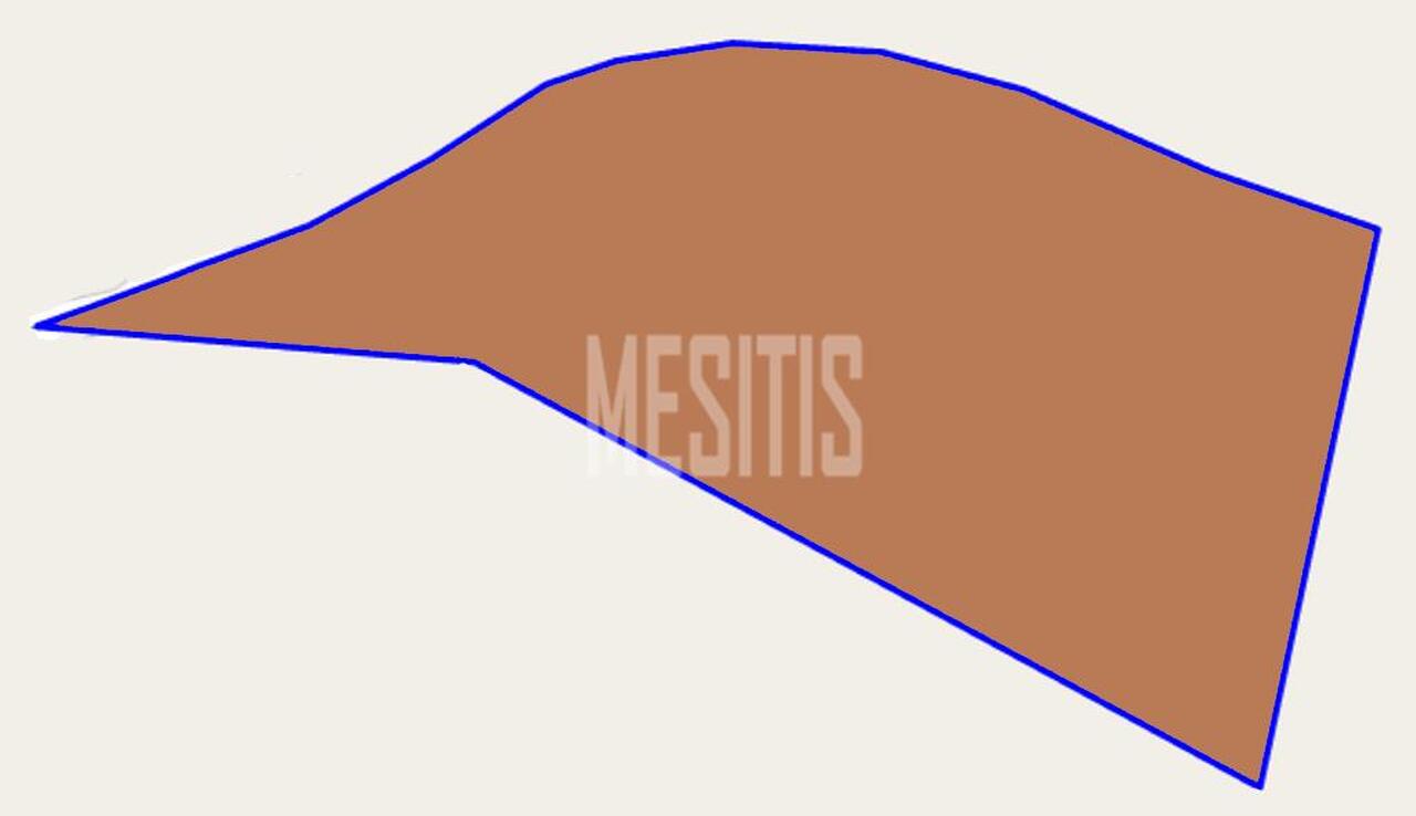 plot-19b69e87-49fe-46d2-8c91-26fbec9a0d37_Wtr.jpg