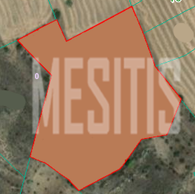 land-924adb6a-0790-4b18-b5ee-ebe1ec738647_Wtr.png