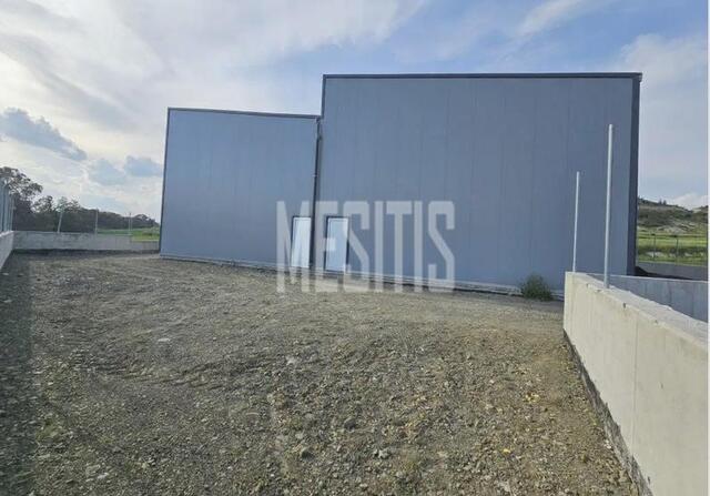 warehouse-b5b7b7ea-7a7c-465f-9d43-84f1484e3f49_Wtr.jpg