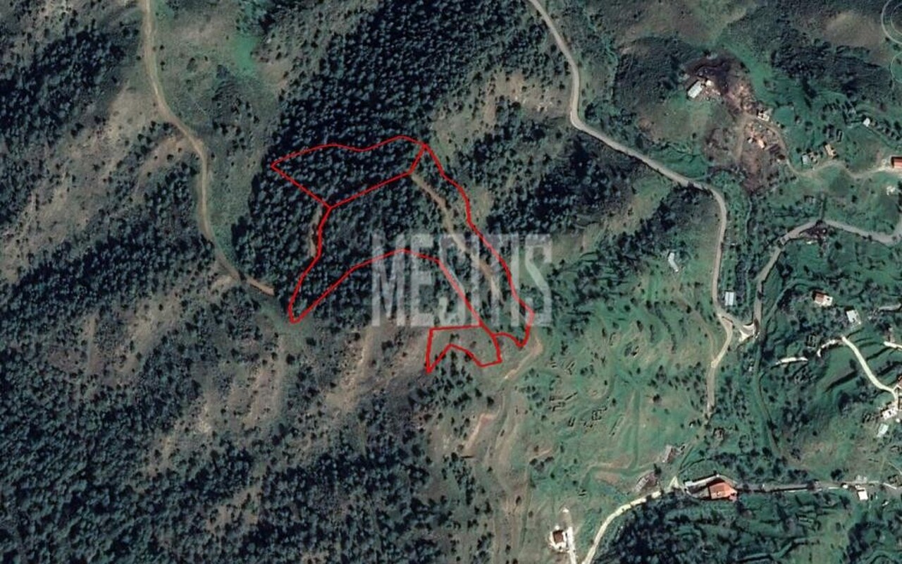plot-caa50df1-e4b5-471c-8af4-5b3aaf7eebb0_Wtr.jpg