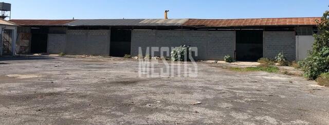 warehouse-e9f55412-7d08-440c-b692-ec79a2c61ff9_Wtr.jpg