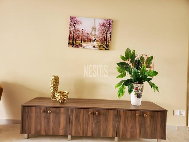 apartment-58d1b67e-2805-4f28-a570-1c24e8c36413_Wtr.jpg