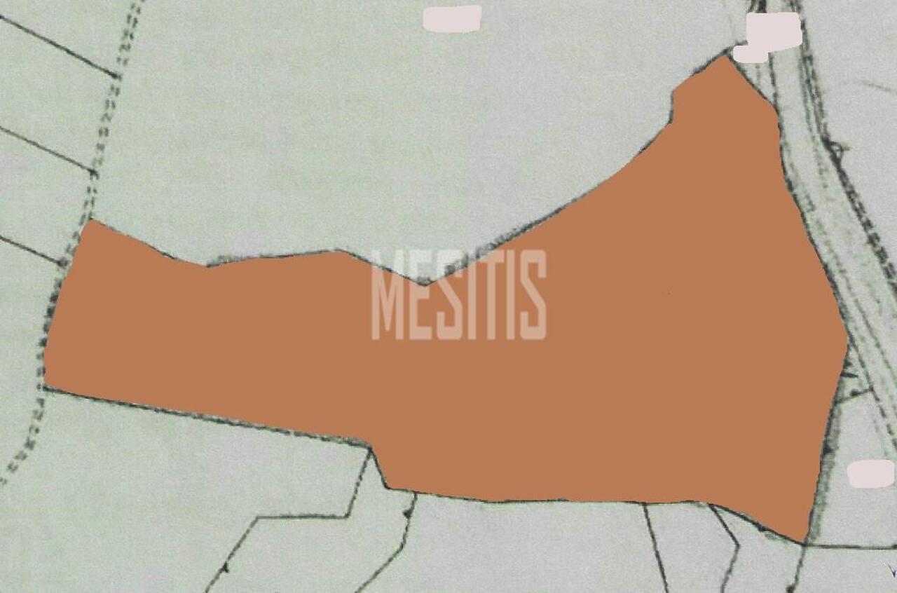 plot-369548f4-3304-4b36-8e21-d1b9f3deeaeb_Wtr.jpeg