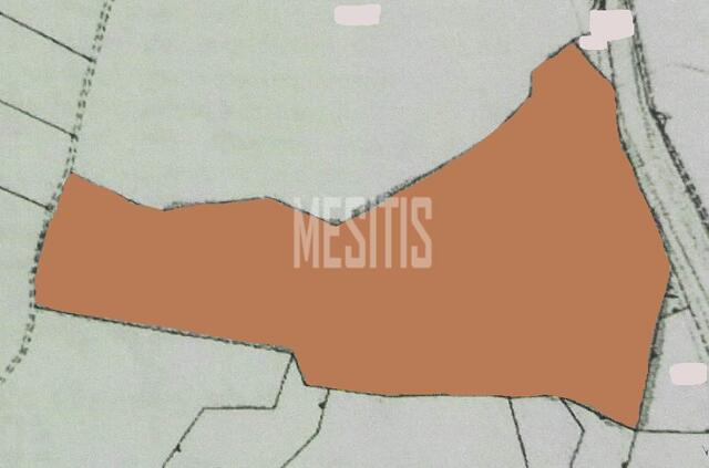 plot-369548f4-3304-4b36-8e21-d1b9f3deeaeb_Wtr.jpeg